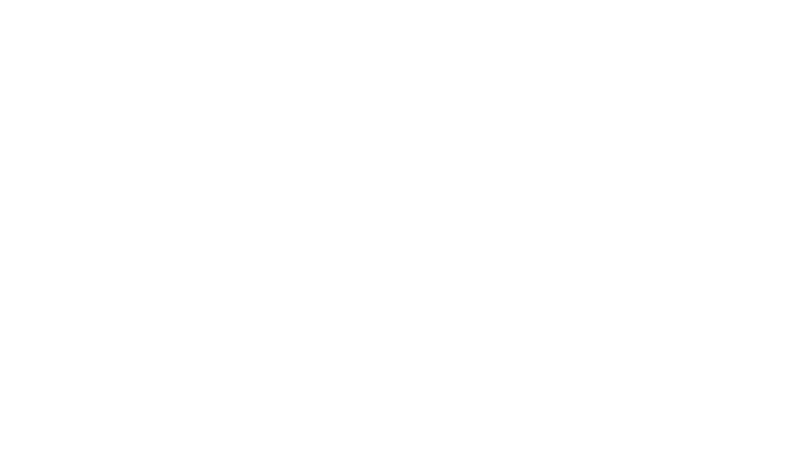 Allweiler Logo White