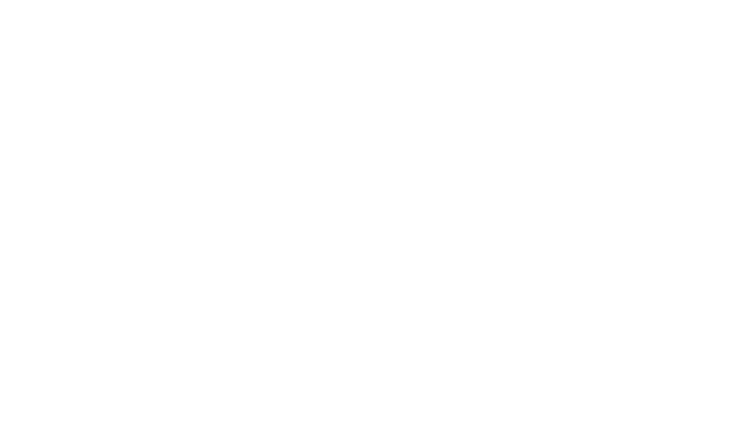 IMO Logo white