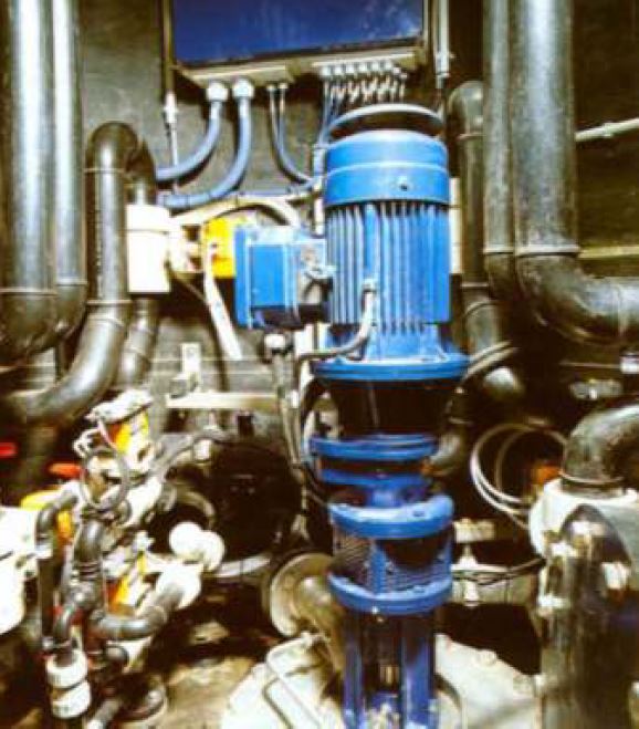 Progressive cavity pump in a shaft