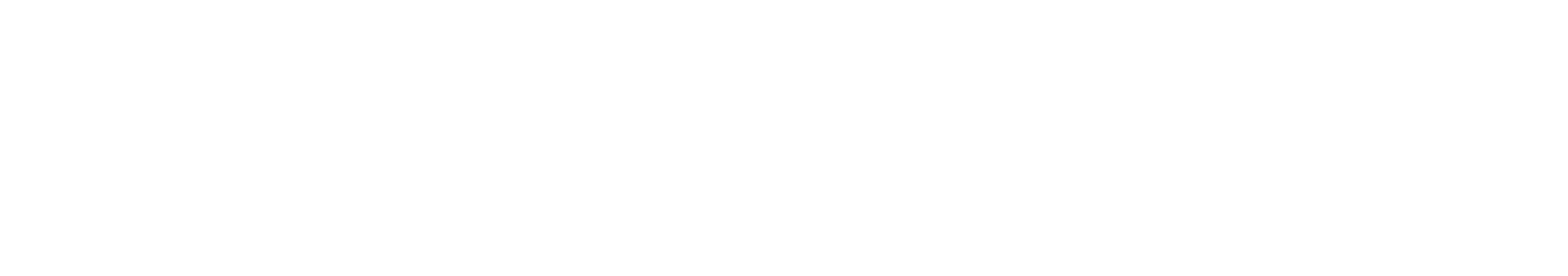 Allweiler Logo White