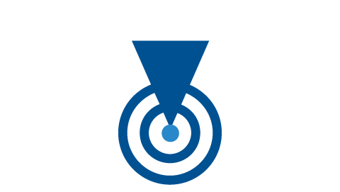 chamelon-page-icons-fnl-1_accurate-icon-2026