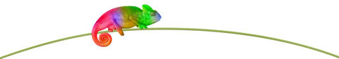 chameleon_707209543_cz_4a-new